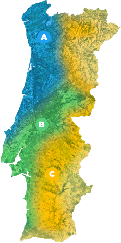 Mapa de alocação de clones de eucalipto Viveiros Aliança
